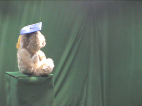 45 Degrees _ Picture 9 _ Light Brown Teddy Bear Wearing Blue Graduation Cap.png